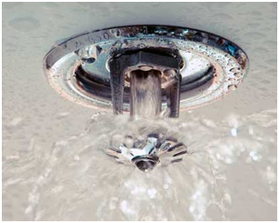 Rapidrop Fire Sprinklers Chennai